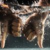 無視する人の心理！無視されるときの対処法2つは？
